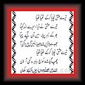 Ghazal Punjabi 017 * 22.03.2008 * 374 x 641 * (55KB)